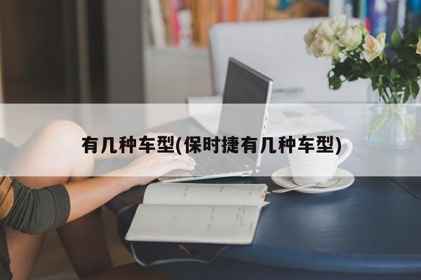 有几种车型(保时捷有几种车型)